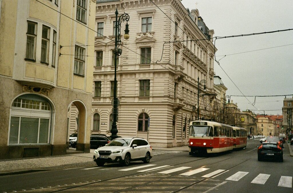 Exploring biogeography and history in Prague