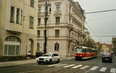 Exploring biogeography and history in Prague