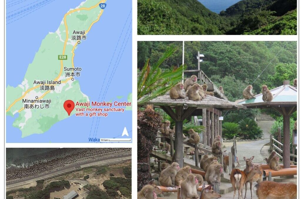 Collecting Data with 450+ Monkeys on an Island. What could go wrong?