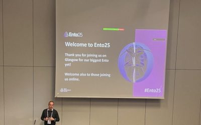 From Spruce Budworm to Glasgow: Sharing Research, Perspectives, and Curiosity at ENTO 25