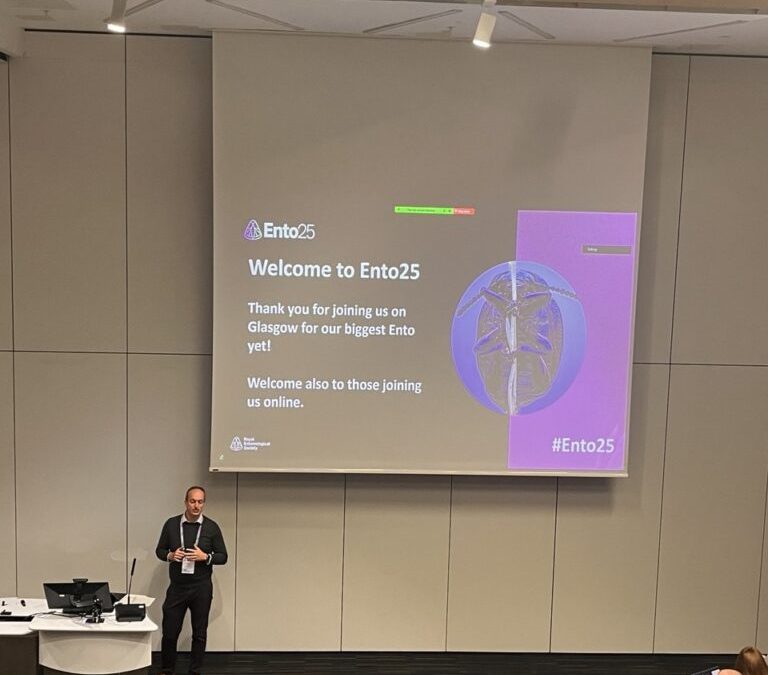 From Spruce Budworm to Glasgow: Sharing Research, Perspectives, and Curiosity at ENTO 25