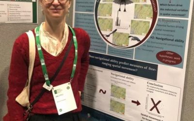Travel Story: Can one find the answer to one’s research questions on the bottom of a pint of Guinness? No, but I’m glad I tried at the Annual Meeting of the British Ecological Society in Belfast, December 2023