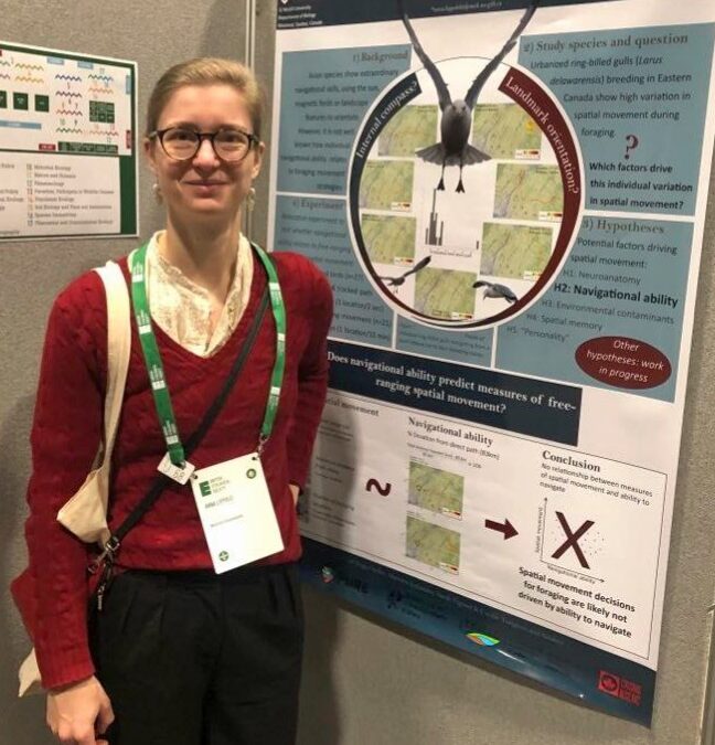 Travel Story: Can one find the answer to one’s research questions on the bottom of a pint of Guinness? No, but I’m glad I tried at the Annual Meeting of the British Ecological Society in Belfast, December 2023