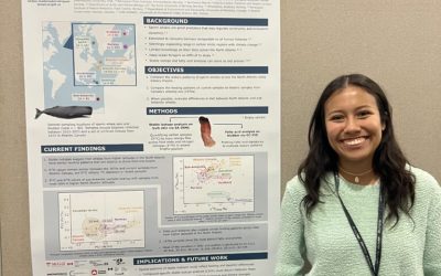 Attending international conferences as a graduate student