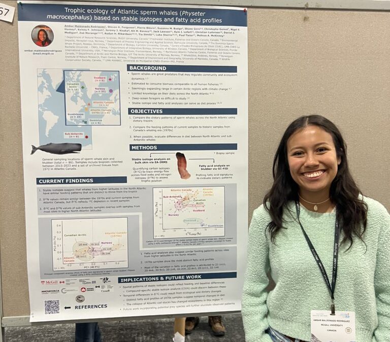 Attending international conferences as a graduate student