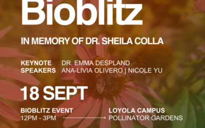 Fieldwork Story: A Campus Alive with Buzz, Flutter, and Discovery