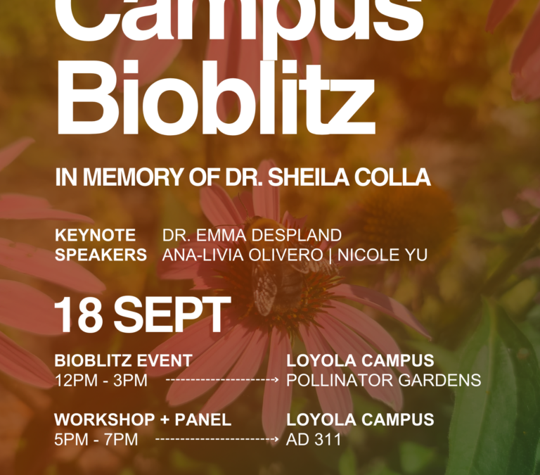 Fieldwork Story: A Campus Alive with Buzz, Flutter, and Discovery