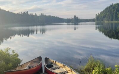 Bio-blitzing in the Réserve faunique Mastigouche
