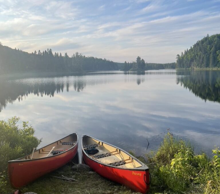 Bio-blitzing in the Réserve faunique Mastigouche