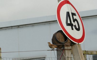 Trois mois de science et de nature en Uruguay : une expérience hors du commun