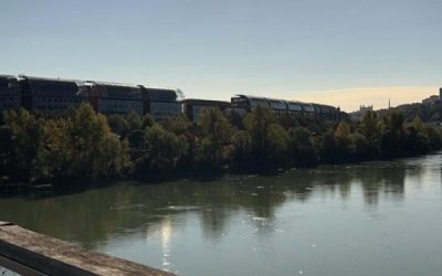 Lyon: From fish to giraffes, everything you didn’t know you loved