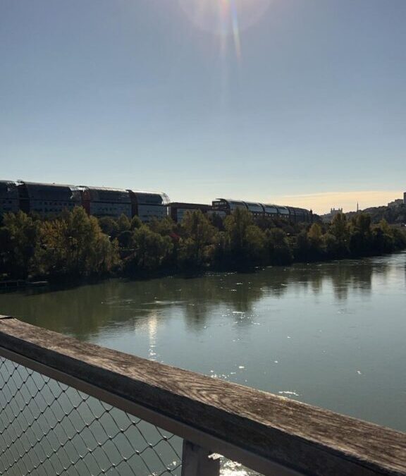Lyon: From fish to giraffes, everything you didn’t know you loved