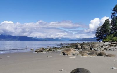 Travel Stories: Attending the annual conference of the Conservation Society of Ecology and Evolution