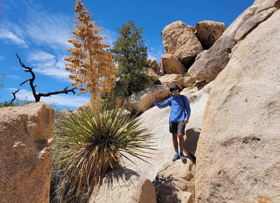 Récit de voyage en Californie : à la rencontre de la flore locale
