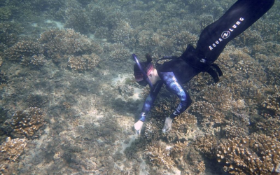 Diving Deep on One Breath: Freediving for Coral Reef Research
