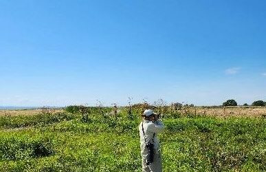 Exploration de la flore impressionnante de l’Isle-aux-Grues, 23 août 2025