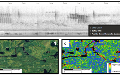 Beyond Variability: Why It’s Time to Move Past the Spectral and Acoustic Variation Hypotheses for Biodiversity