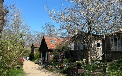 Travel Story: A commute to work in Copenhagen, Denmark.