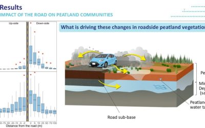 Des tourbières de la Côte-Nord aux routes du Colorado : récit d’un congrès sur l’écologie routière aux États-Unis