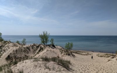 Looking for Lupines: A road trip beside the Great Lakes