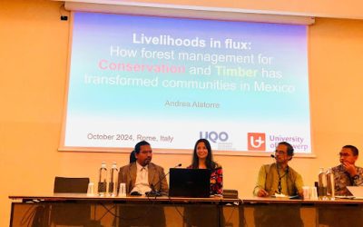 Imagination and innovation for forests & livelihoods: Some reflections from the FLARE conference