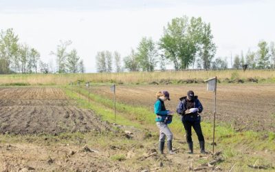 Au-delà d’un projet